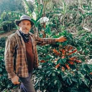 Costa Rica Cordillera de Fuego Anaerobic SHB/EP 12 K Cups